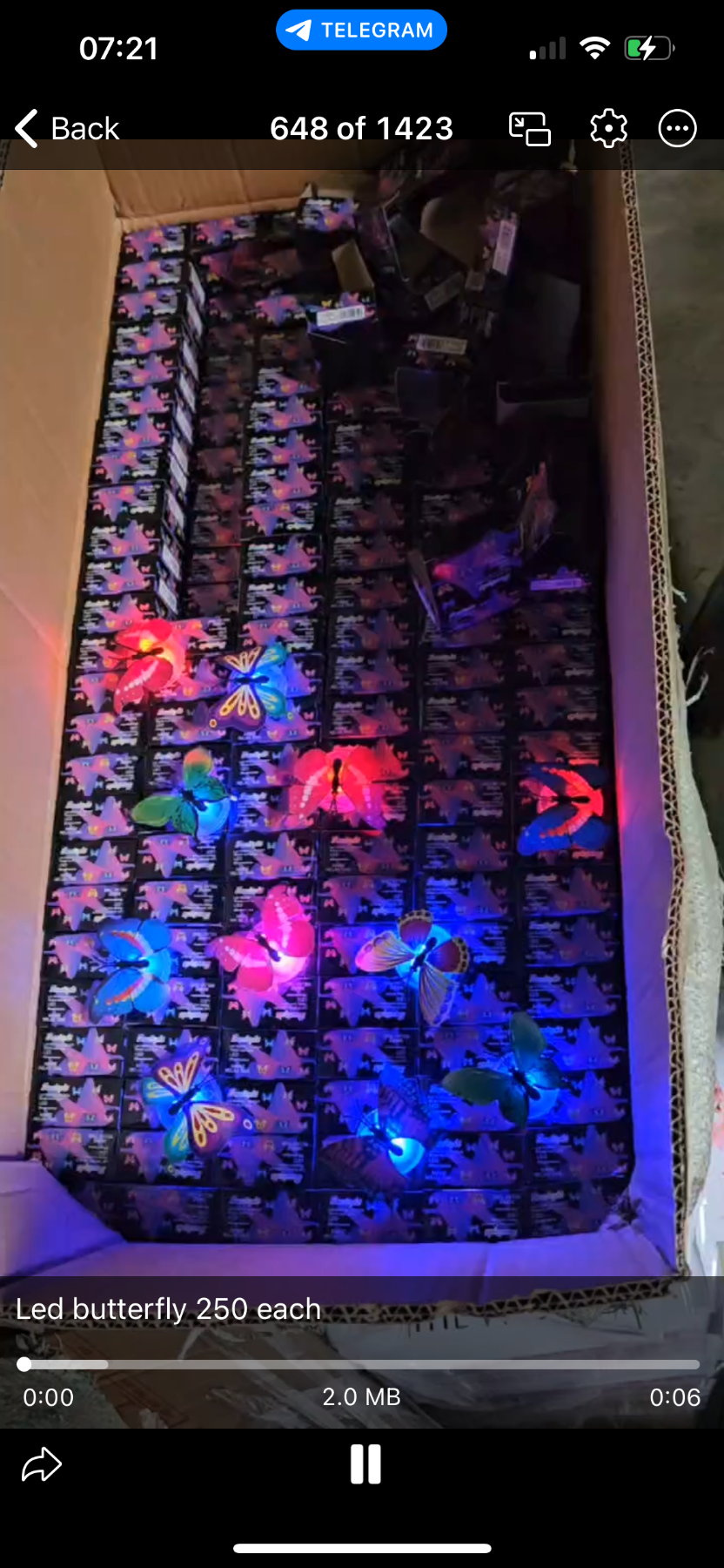 Butterfly led lights